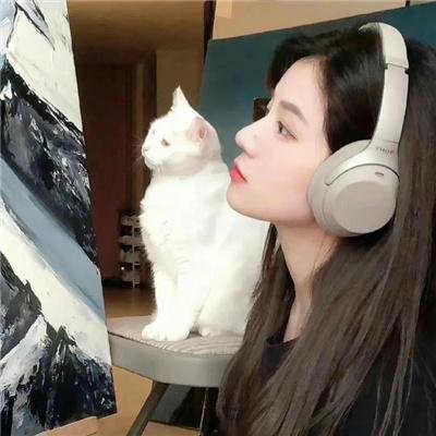 熊霸天下 海报